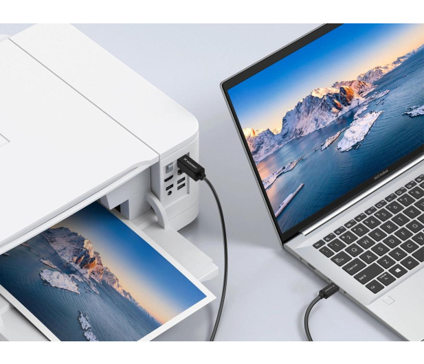 Wozinsky Kabel USB-B USB-C 1m czarny WKDDY1S - 1487917 - zdjęcie 5